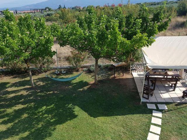 Plaka Luxury Villa Λιτόχωρο Εξωτερικό φωτογραφία