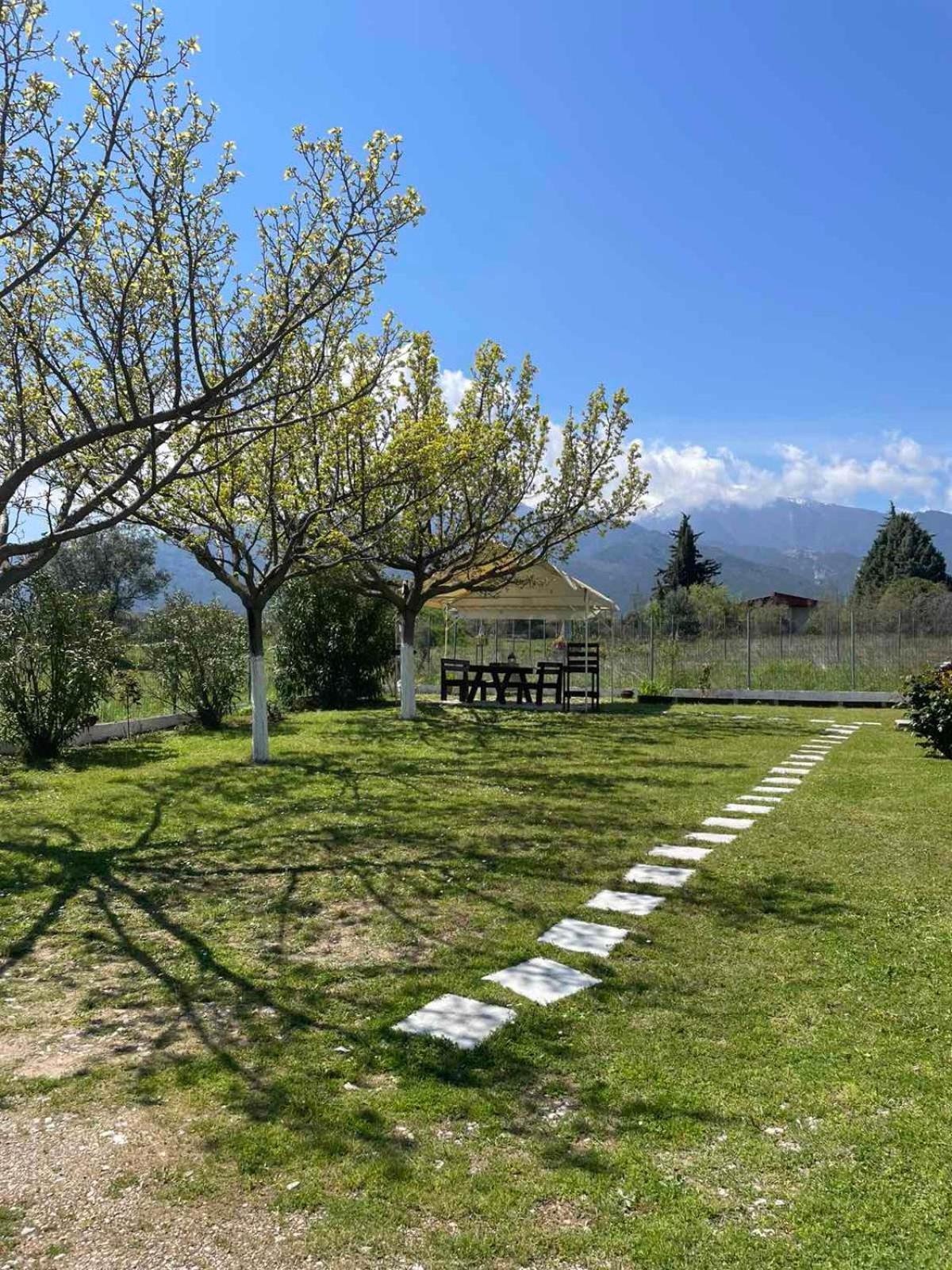 Plaka Luxury Villa Λιτόχωρο Εξωτερικό φωτογραφία