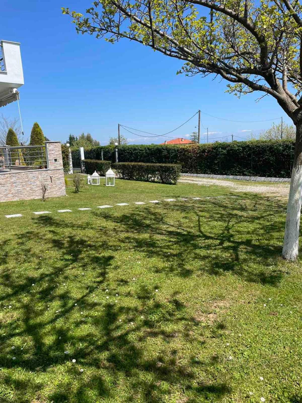 Plaka Luxury Villa Λιτόχωρο Εξωτερικό φωτογραφία